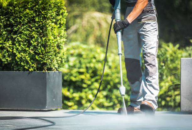 Best Sidewalk and Walkway Cleaning  in Wright City, MO