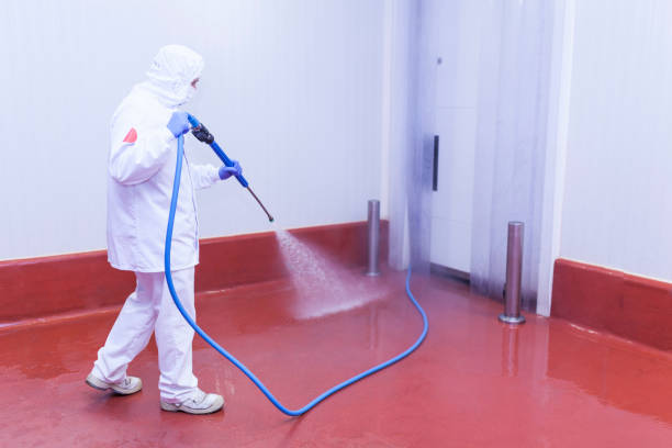 Best Roof Washing  in Wright City, MO